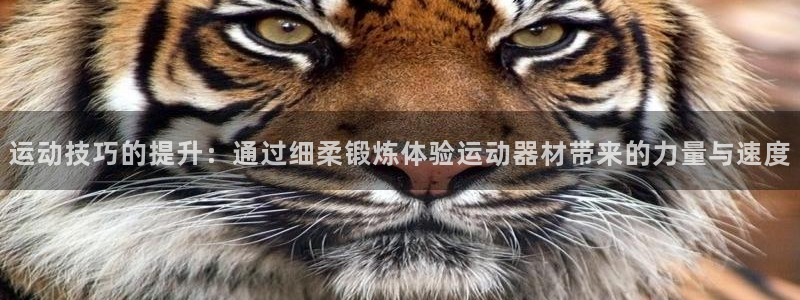 征途国际五金厂:运动技巧的提升:通过细柔锻炼体验运动器材带来