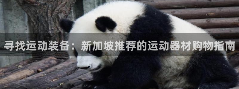 征途国际官网:寻找运动装备:新加坡推荐的运动器材购物指南