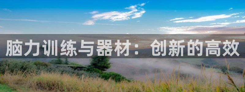 征途国际平台注册流程图:脑力训练与器材:创新的高效