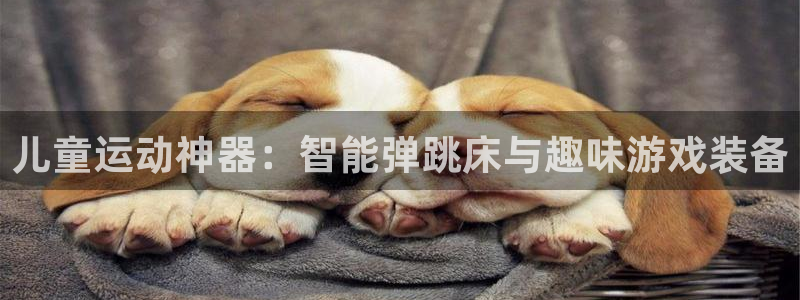 征途国际平台体育:儿童运动神器:智能弹跳床与趣味游戏装备