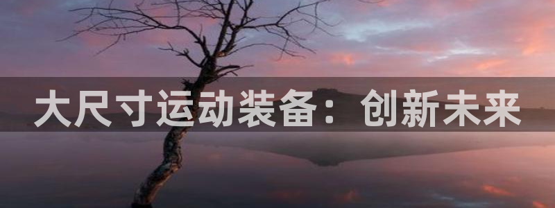 征途国际平台APP:大尺寸运动装备:创新未来