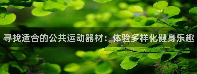 征途国际招商电话号码查询:寻找适合的公共运动器材:体验多样化