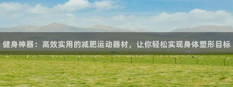 征途国际官网:健身神器:高效实用的减肥运动器材,让你轻松实现