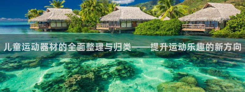 征途国际招商电话号码查询:儿童运动器材的全面整理与归类——提